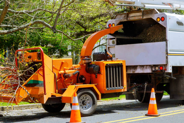 Mulching Services in Springfield, CO